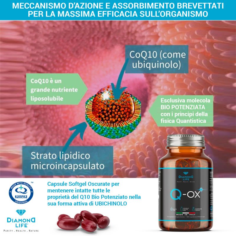 Q-OX | Q10 Ubichinolo Kaneka Bio Potenziato Powered by HIT | Biologicamente Attivo e 8 Volte Più Biodisponibile | Coenzima Q10 | 30 Softgel - immagine 5